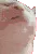 VibeCat VibeCat