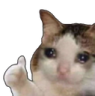 ANICHAT_CatSadOk Discord emoji