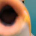 EN_fishsmooch Discord emoji