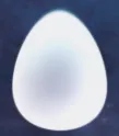 SacredEgg
