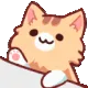 TabbyBongo