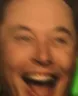 elon