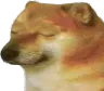 sadnix