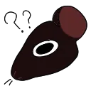 ratquestions