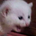 kurbyaaahhhhh Discord emoji