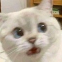 __ Discord emoji