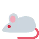 lilrat