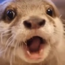 otterpog Discord emoji