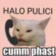 hello_pulici hello_pulici