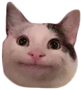 Politecat politecat Discord Emoji