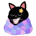 cozycat cozycat