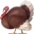 turkey