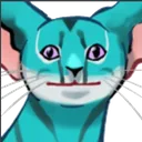 kavatstare