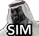 islanchad_sim