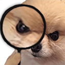 DetectiveDoge_SF Discord emoji