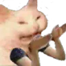Cat_why Cat_why