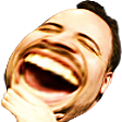 twitch_lul Discord emoji
