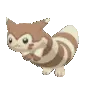 FurretRun