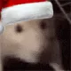 ChristmasRatJAM