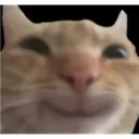 catsmile