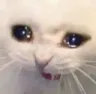 aaaaaaaaaaaaaa