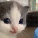 hehe