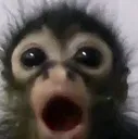 MonitoWow