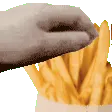 fries