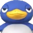 PenguinStare