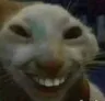 rattar