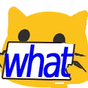 meow_what