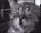 catw catw
