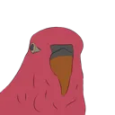 stare_birb stare_birb