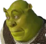 shrekoops