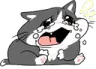 CryMow