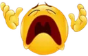 emoji_95