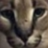 914257128334704681.png?size=44