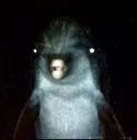 __