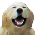 ohneH ohneH
