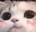 reversed_owo
