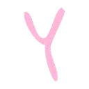 alphabet_y