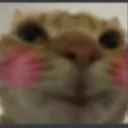 OwOCatKieran