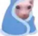 bingus