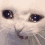 catcatcry Discord Emoji