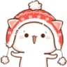 nyaBeanie