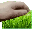touchgrassbro