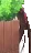 Peek