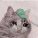 b_stillsobbing