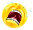 emoji_28 emoji_28