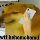 OR_WtfBehemchod
